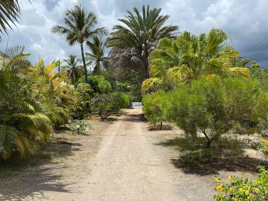 לה סאלין לה ביינס Villa Coco Des Sables Acces Direct Au Lagon מראה חיצוני תמונה